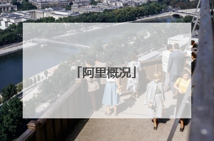 阿里概况