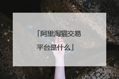 阿里淘猫交易平台是什么