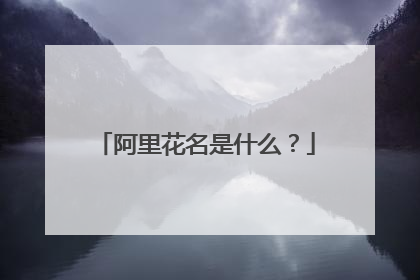 阿里花名是什么?