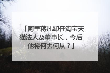 阿里蒋凡卸任淘宝天猫法人及董事长,今后他将何去何从?