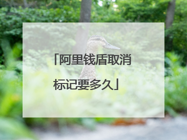 阿里钱盾取消标记要多久