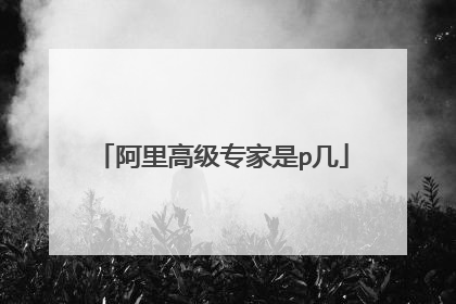 阿里高级专家是p几