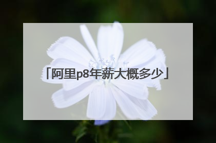 阿里p8年薪大概多少