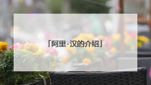 阿里·汉的介绍