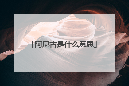 阿尼古是什么意思