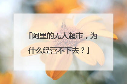 阿里的无人超市,为什么经营不下去?