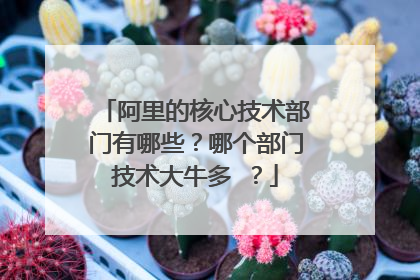 阿里的核心技术部门有哪些?哪个部门技术大牛多 ?