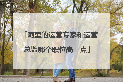阿里的运营专家和运营总监哪个职位高一点