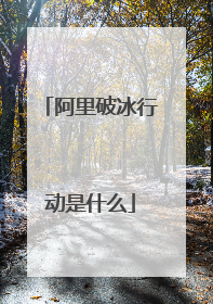 阿里破冰行动是什么