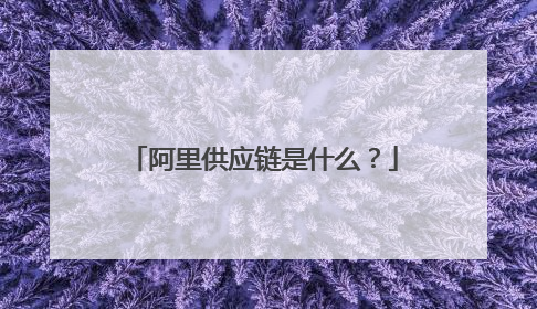 阿里供应链是什么?