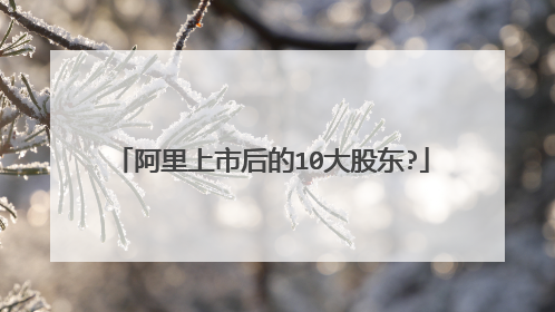 阿里上市后的10大股东?