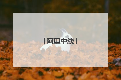 阿里中线