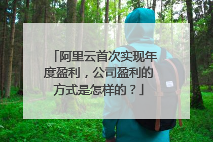 阿里云首次实现年度盈利，公司盈利的方式是怎样的？