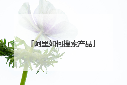阿里如何搜索产品