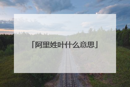 阿里姓叶什么意思