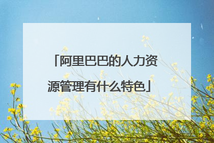 阿里巴巴的人力资源管理有什么特色