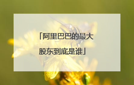 阿里巴巴的最大股东到底是谁