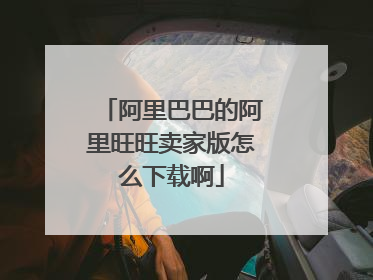 阿里巴巴的阿里旺旺卖家版怎么下载啊