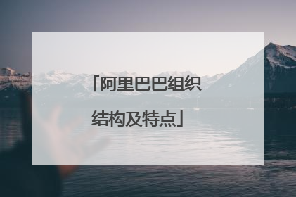 阿里巴巴组织结构及特点