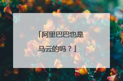 阿里巴巴也是马云的吗?