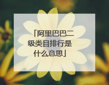 阿里巴巴二级类目排行是什么意思