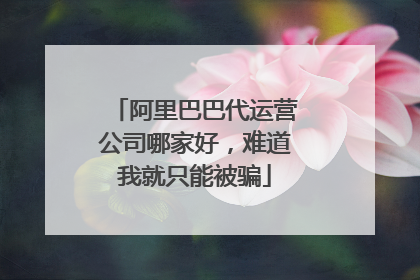 阿里巴巴代运营公司哪家好,难道我就只能被骗