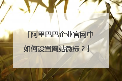 阿里巴巴企业官网中如何设置网站微标?