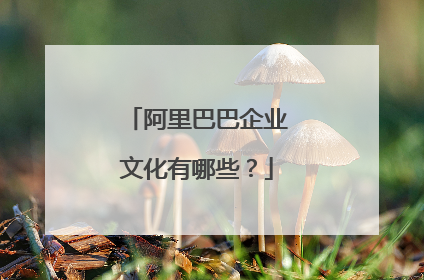 阿里巴巴企业文化有哪些?
