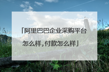 阿里巴巴企业采购平台怎么样,付款怎么样