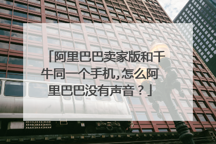阿里巴巴卖家版和千牛同一个手机,怎么阿里巴巴没有声音？