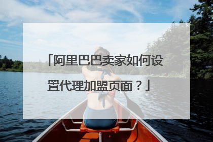 阿里巴巴卖家如何设置代理加盟页面?