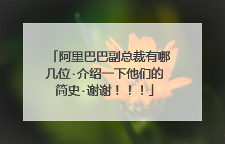 阿里巴巴副总裁有哪几位·介绍一下他们的简史·谢谢!!!