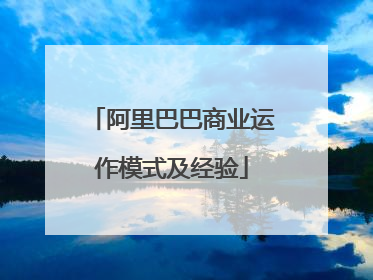 阿里巴巴商业运作模式及经验