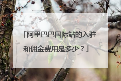 阿里巴巴国际站的入驻和佣金费用是多少?