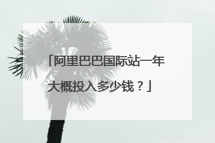 阿里巴巴国际站一年大概投入多少钱?