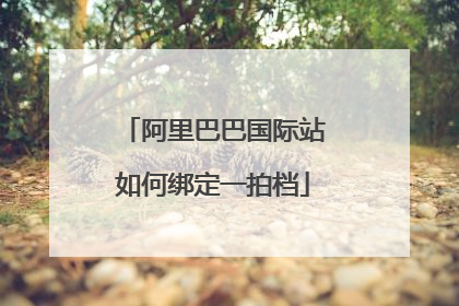 阿里巴巴国际站如何绑定一拍档