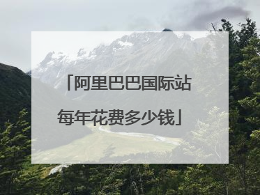 阿里巴巴国际站每年花费多少钱