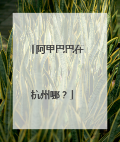阿里巴巴在杭州哪?