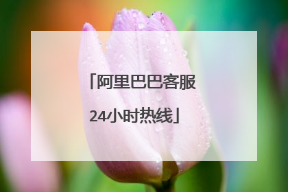 阿里巴巴客服24小时热线