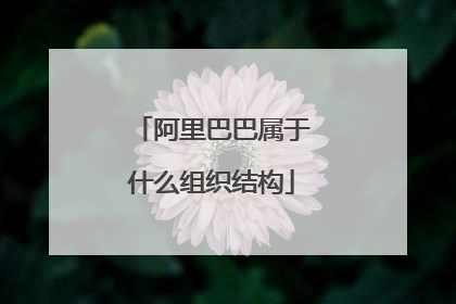 阿里巴巴属于什么组织结构