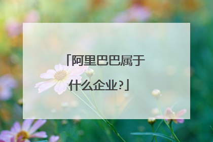 阿里巴巴属于什么企业?