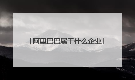 阿里巴巴属于什么企业