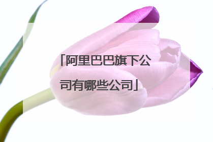 阿里巴巴旗下公司有哪些公司