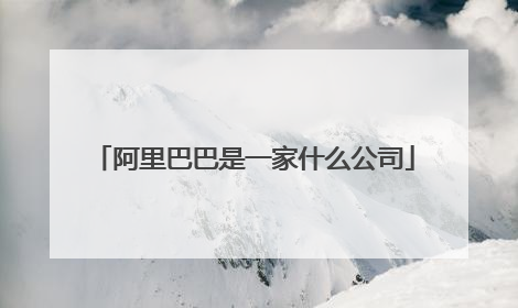 阿里巴巴是一家什么公司