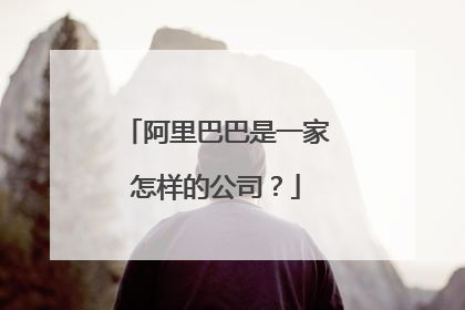 阿里巴巴是一家怎样的公司?