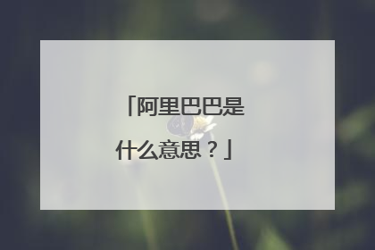 阿里巴巴是什么意思？