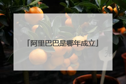 阿里巴巴是哪年成立