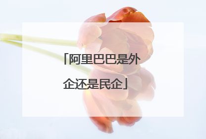 阿里巴巴是外企还是民企