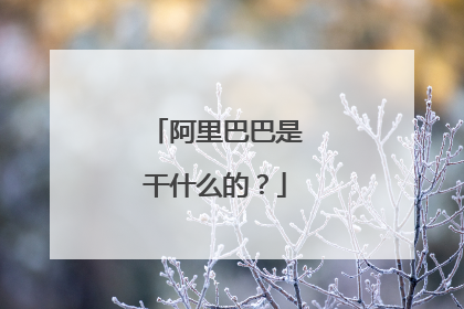 阿里巴巴是干什么的?