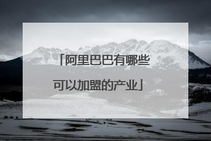 阿里巴巴有哪些可以加盟的产业